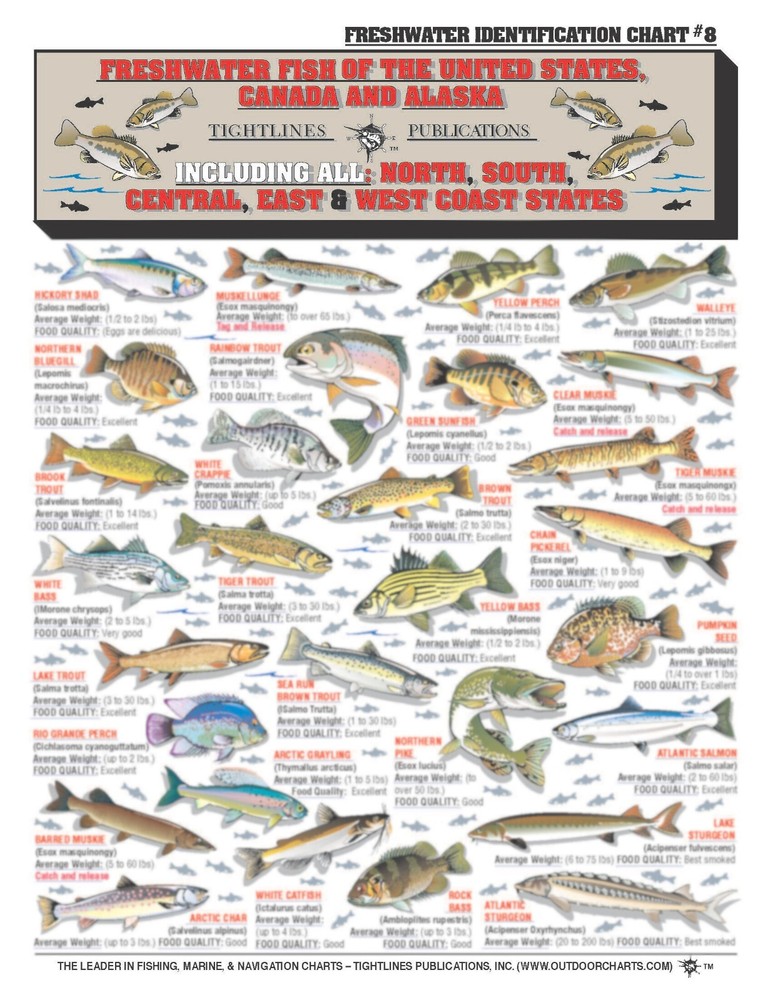 Fishermans Freshwater Fish Identification Set - Waterproof Quick Reference Guide