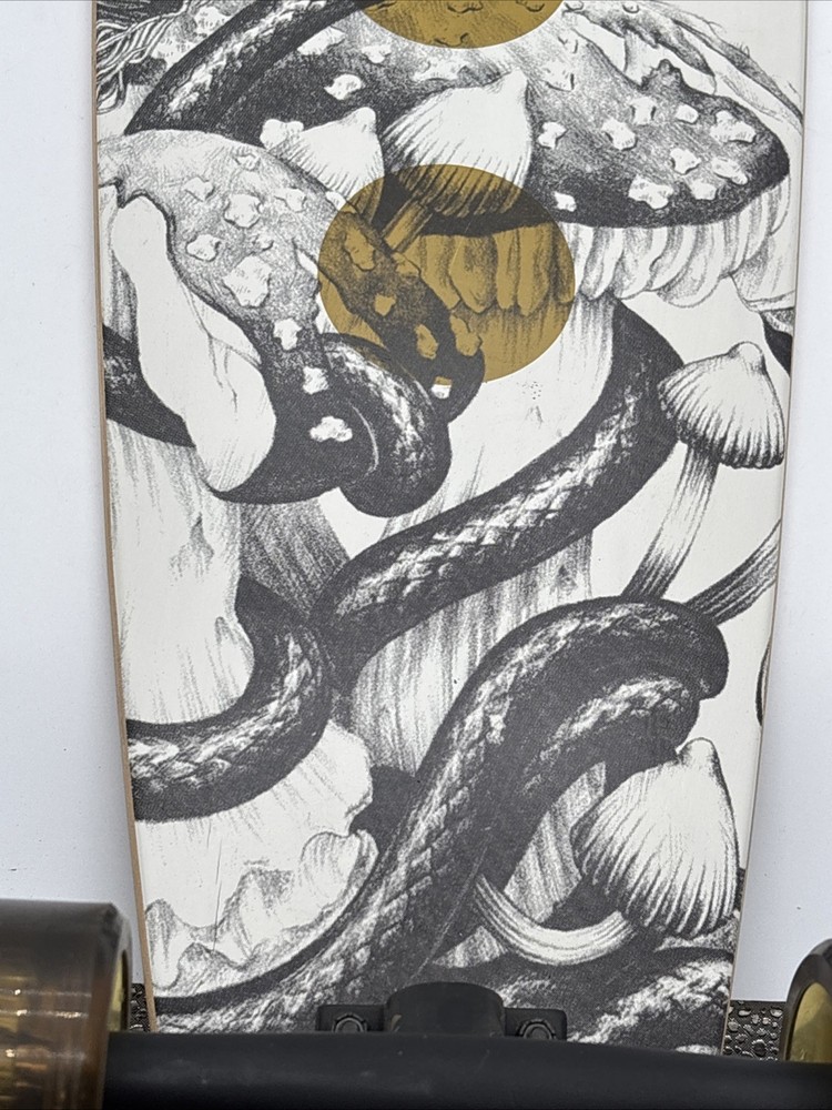 Arbor Fish Bamboo 37 inch Complete Longboard