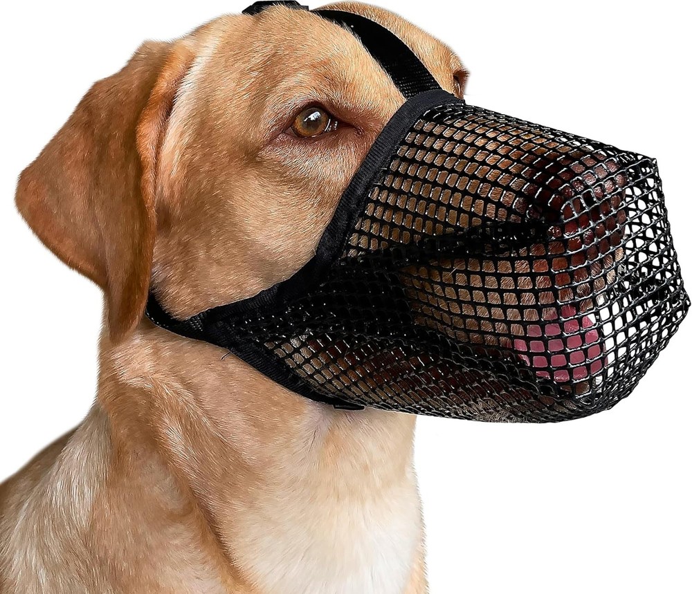 Lightweight Mesh Dog Muzzle for Medium-Sized Dogs - Perfect for Socialization