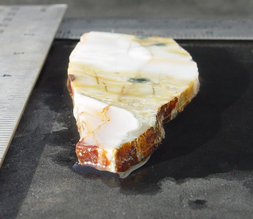 Ocean Jasper Lapidary Slab T936