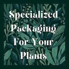 Special Packing For Live Plants