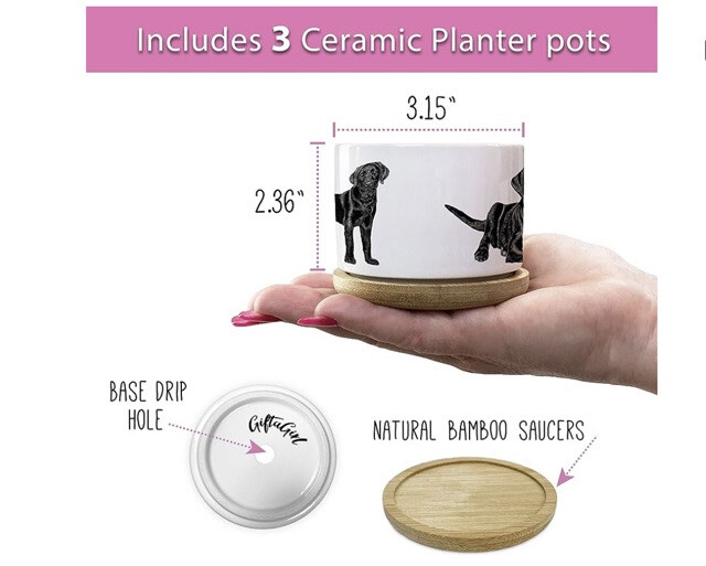 Set Of Tree Labrador Planters-Open Box-ceramic-Open Box/No Original Box