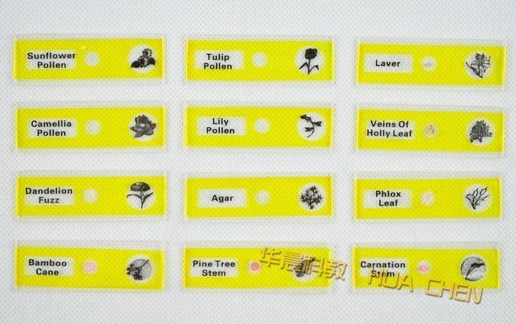 48 Pcs Prepared Microscope Slides Insects Animals Plants Flowers Sample