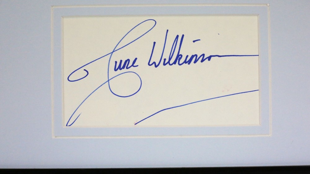 June Wilkinson Signed Framed 16x20 Photo Display JSA