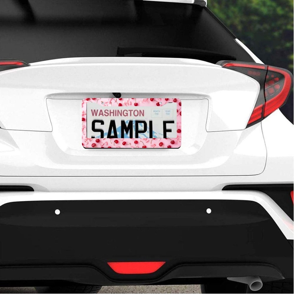 Universal Stainless Steel Car License Plate Frames 2 Pack, Rustproof Covers