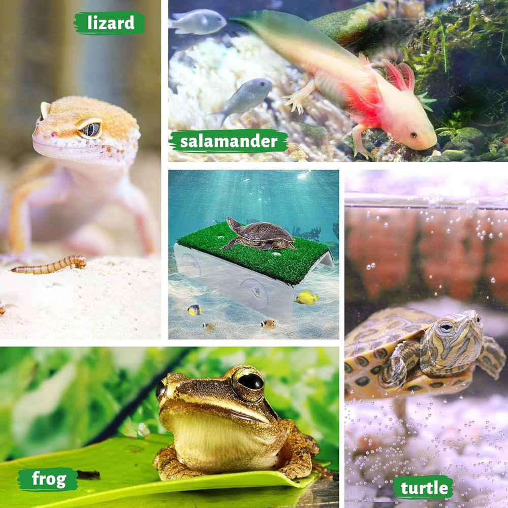 Small Turtle Basking Platform Simulation Grass Turtle Ramp, Turtle Resting Ba...