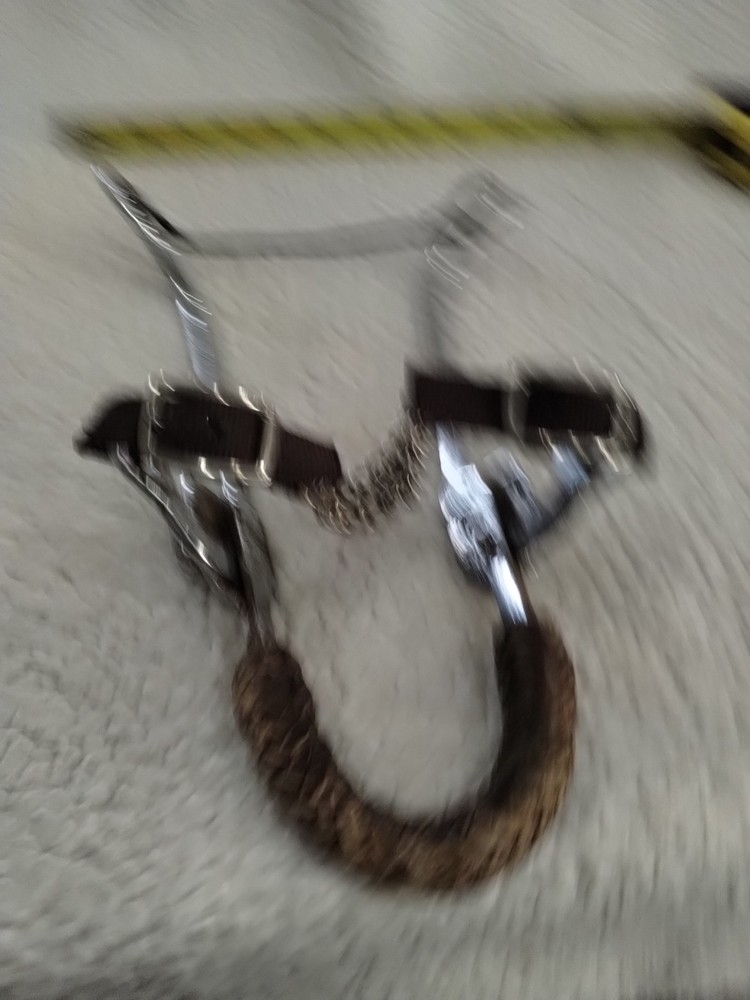 Unlabeled Hackamore Bit