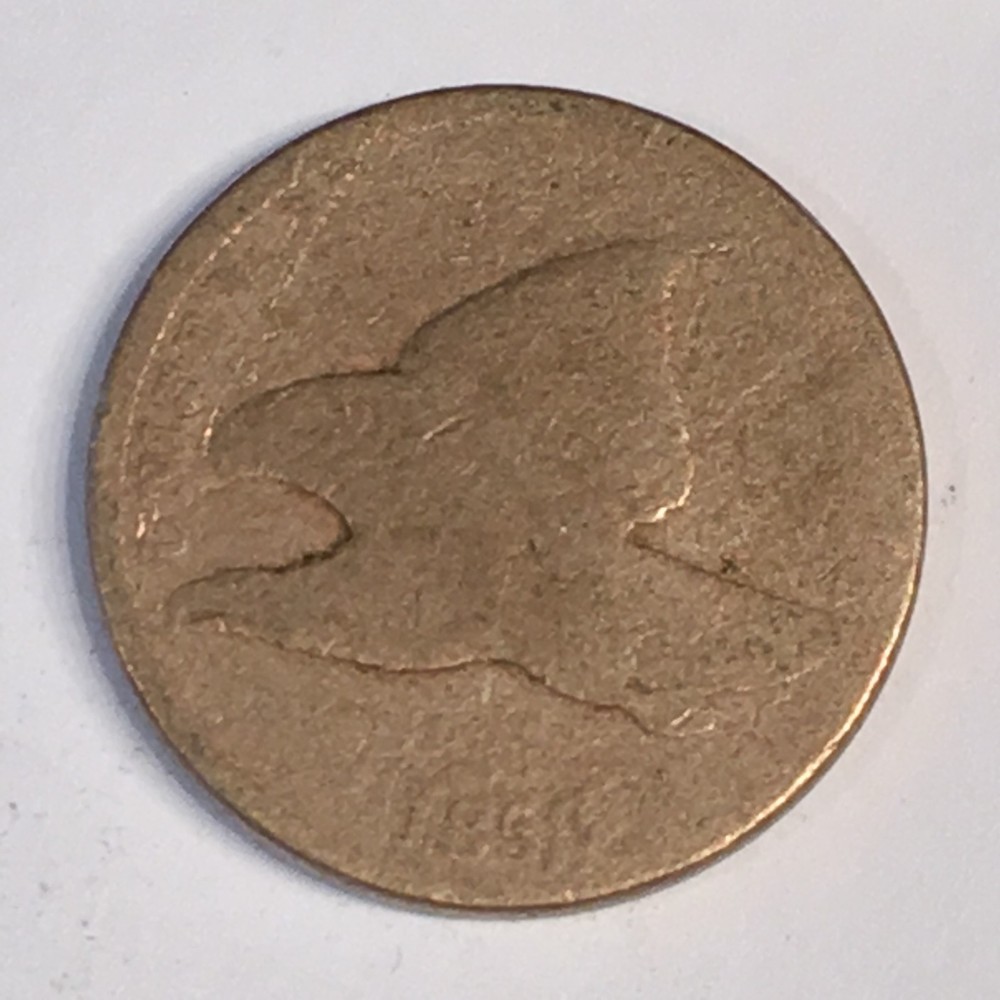 1858  Flying Eagle Cent - SL or LL ?? -  Circulated - High Quality Scans #C542