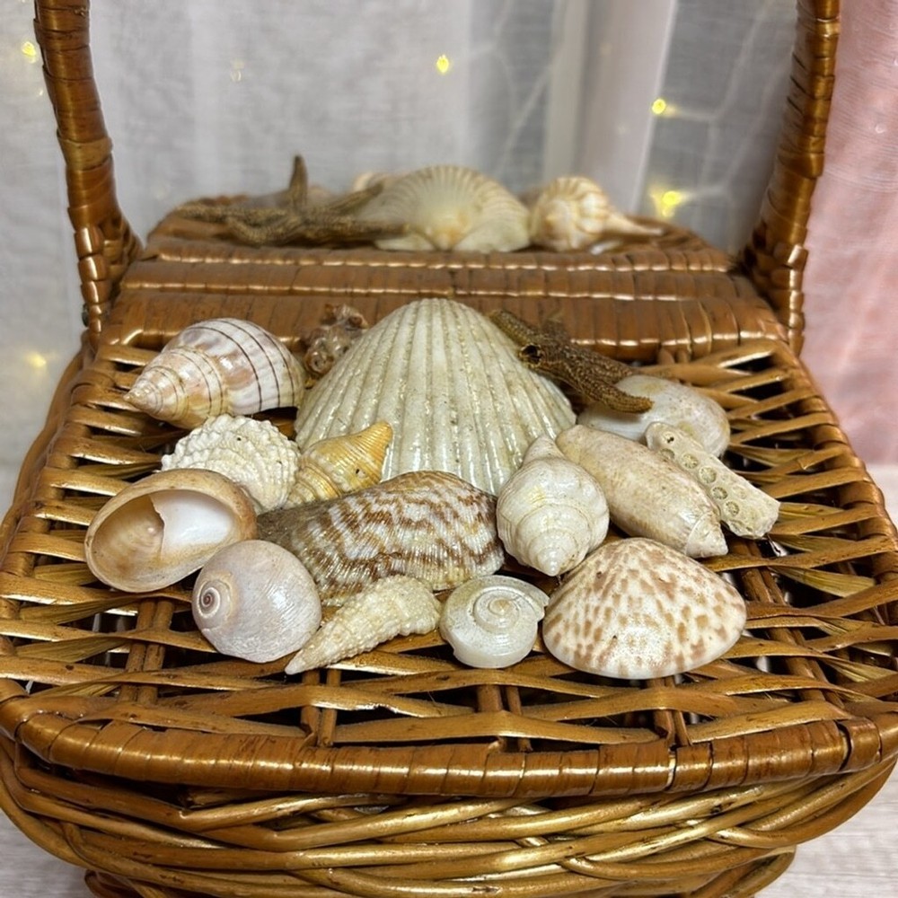 Double Lid Handle Picnic Basket with shells