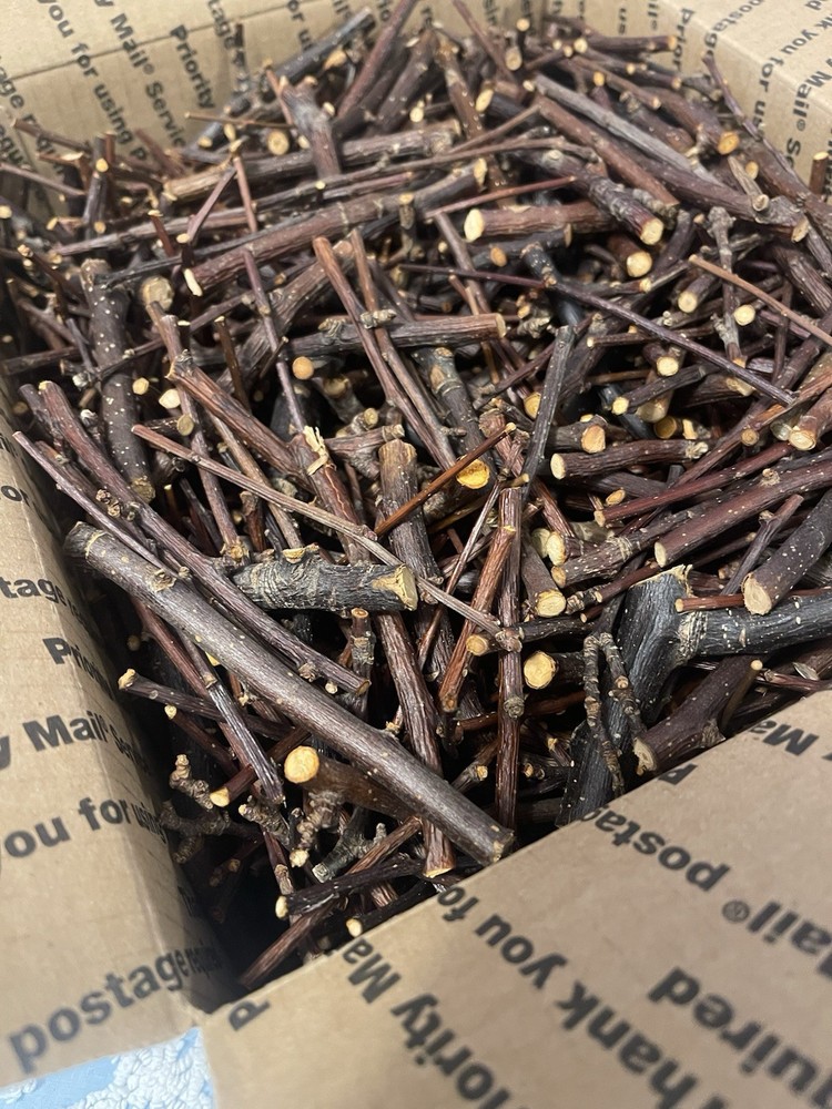 4.5 lbs. of Apple/Pear Sticks