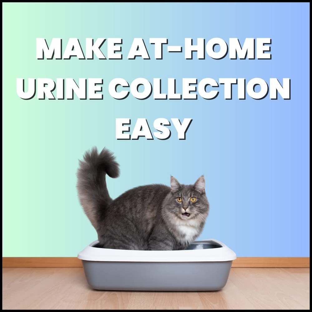 Creative Science Nosorb Non-Absorbent Cat Litter | 6 oz | Easily Collect