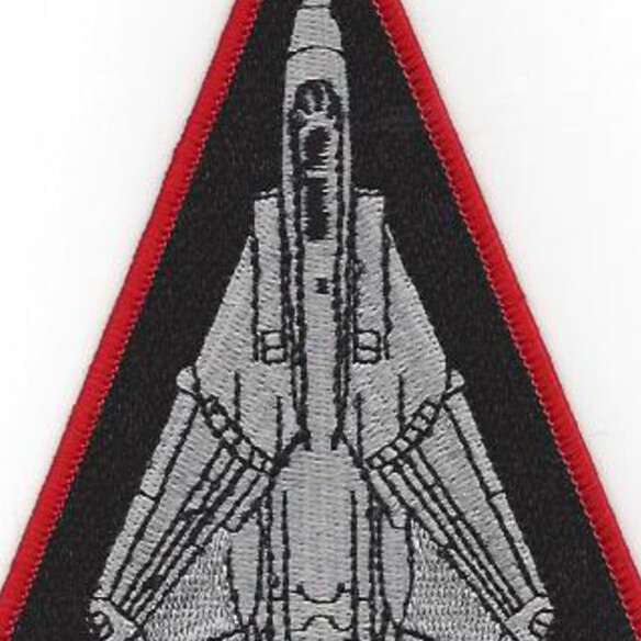 VF-301 Triangle Patch F-14 Infernos