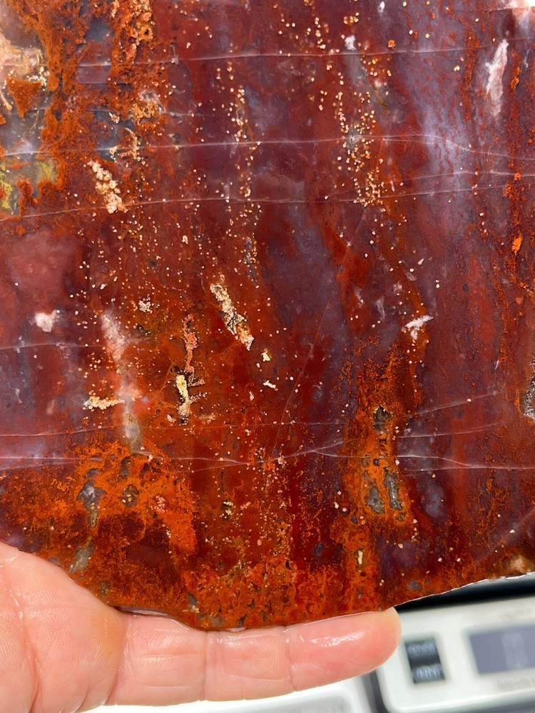 Large Cathedral Raspberry Agate Slab Cabbing Lapidary Combo Ship Avail
