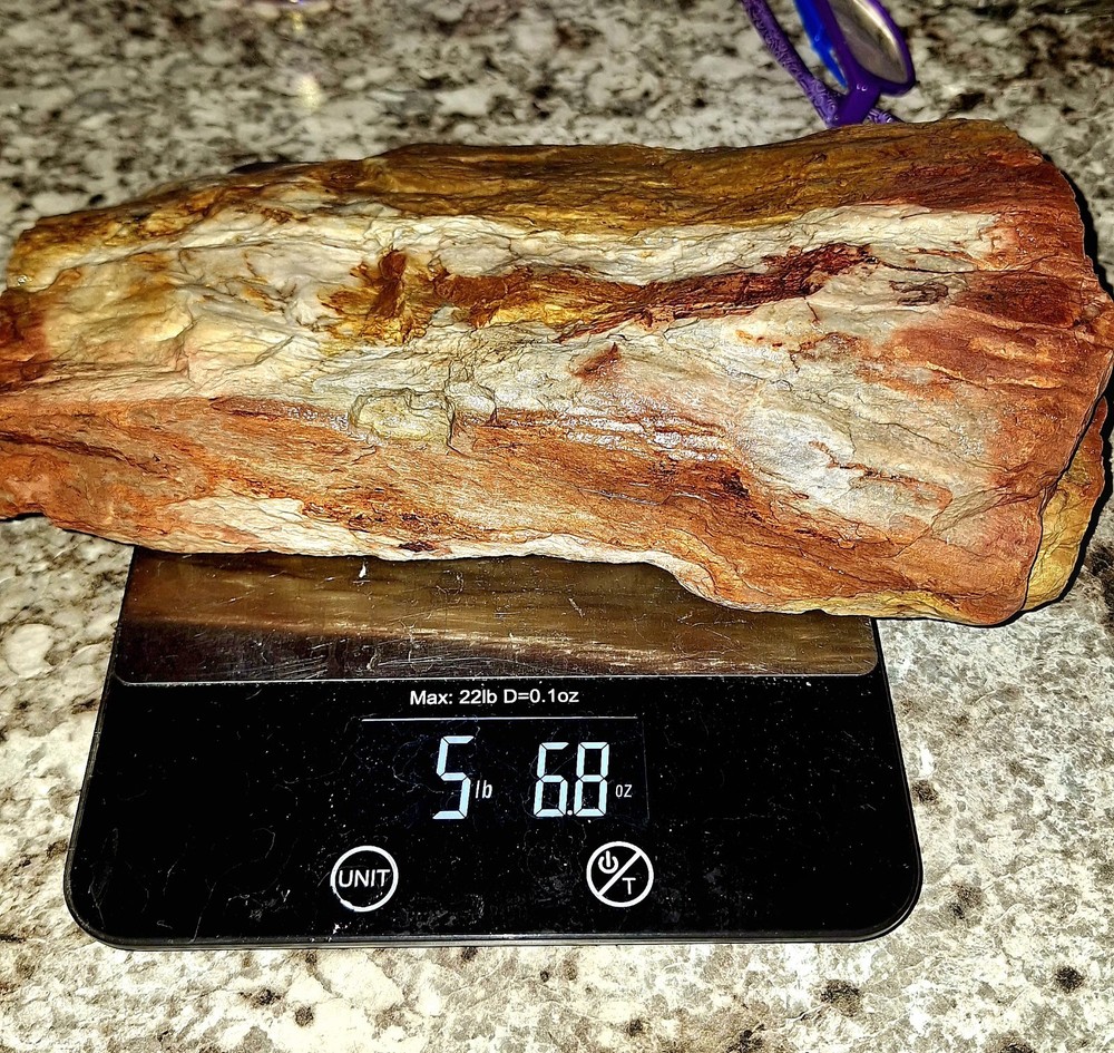 Petrified Wood