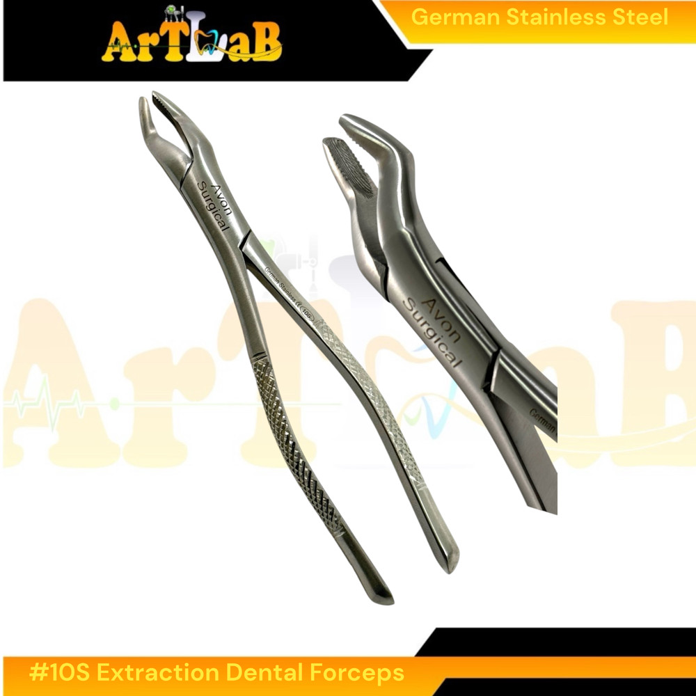 German Stainless Steel #10S Upper Molar Extraction Forceps, Universal, Serrated