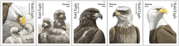 #6082 - 6086 Bald Eagles Strip/5  - MNH (After May 14)