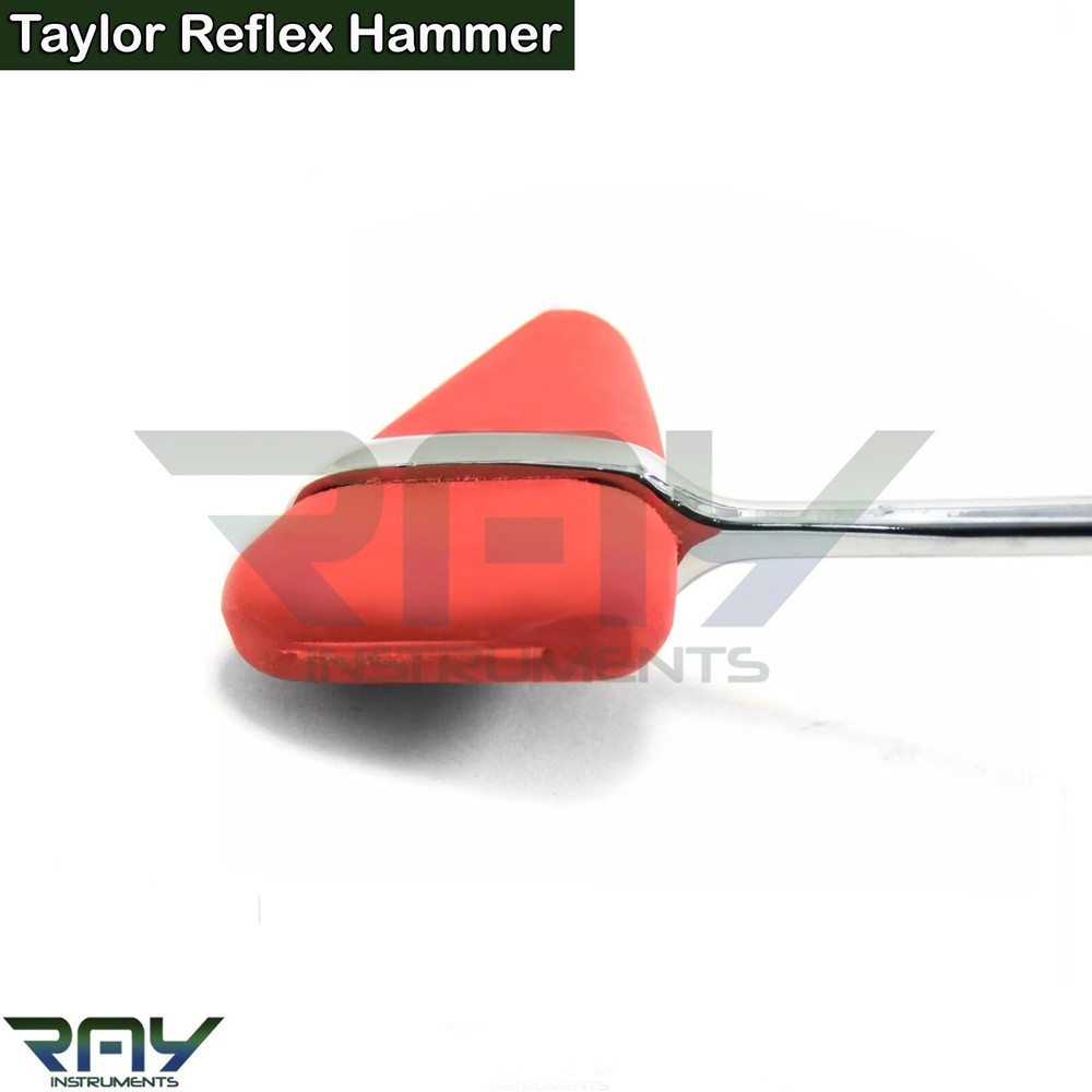 Neurological Taylor Percussion Reflex Hammer Surgical Diagnostic Instruments CE