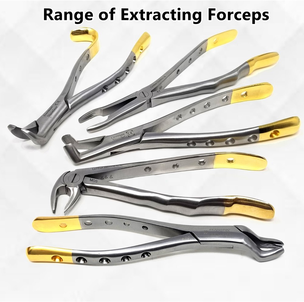 Premium German Dental Tooth Extracting Forceps Extraction Dental Instruments