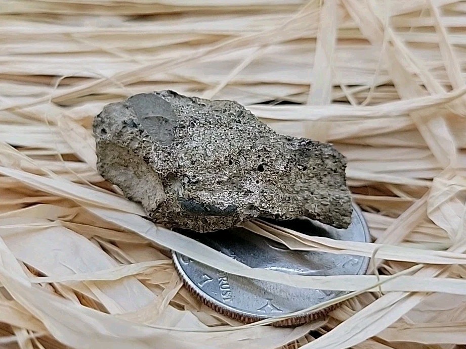 Fossil Claw