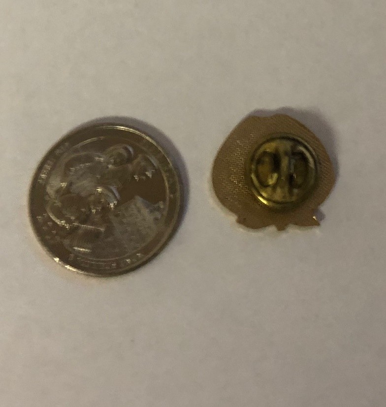 Every Scholar Has A Teacher Apple Pin
