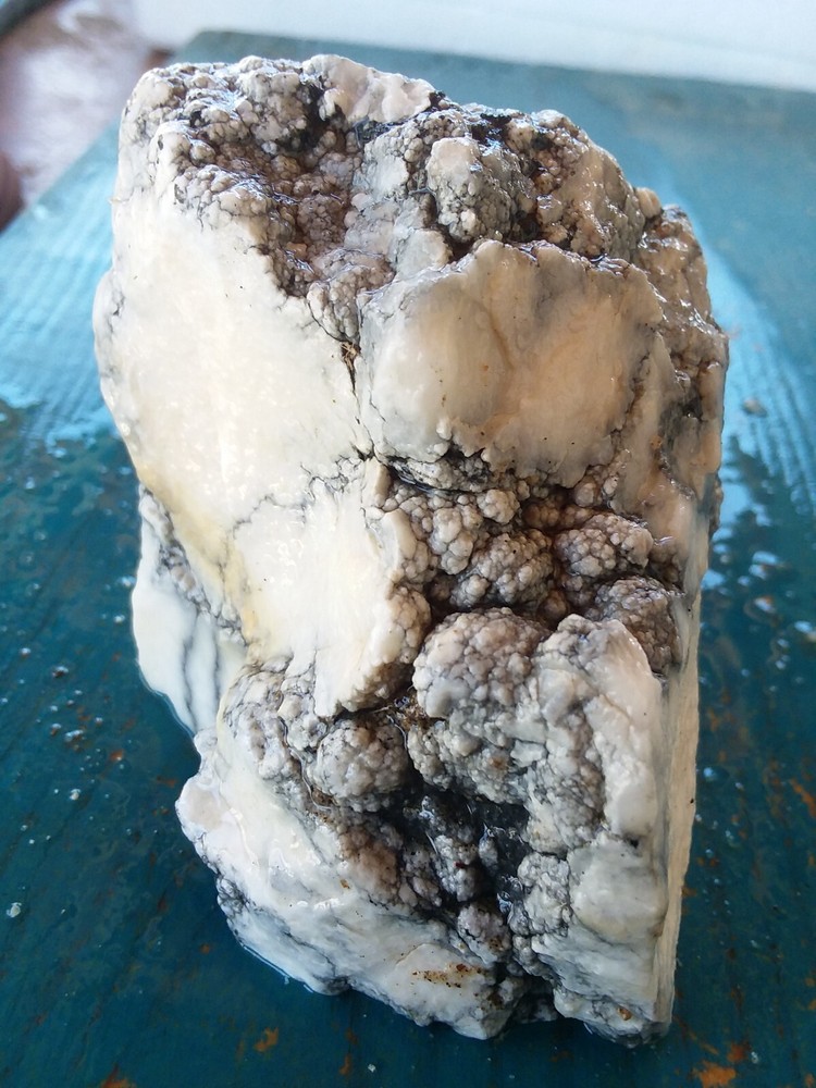 Lapidary Howlite Window Cut Spider Veining Collect Display