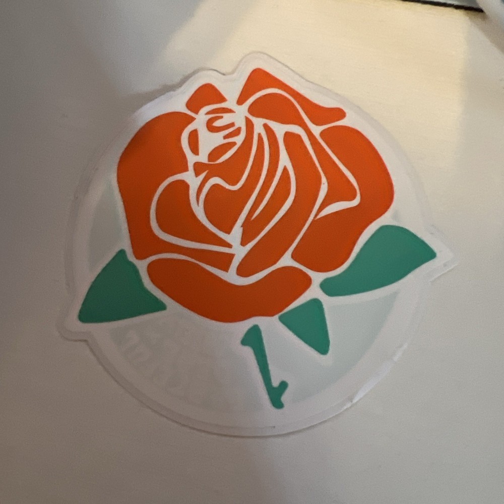 Grateful Dead Sticker Casely