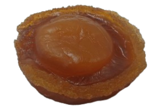 Display Fake Food Prop Abalone