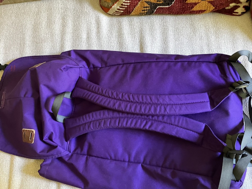 patagonia arbor backpack Purple 40th Anniversary