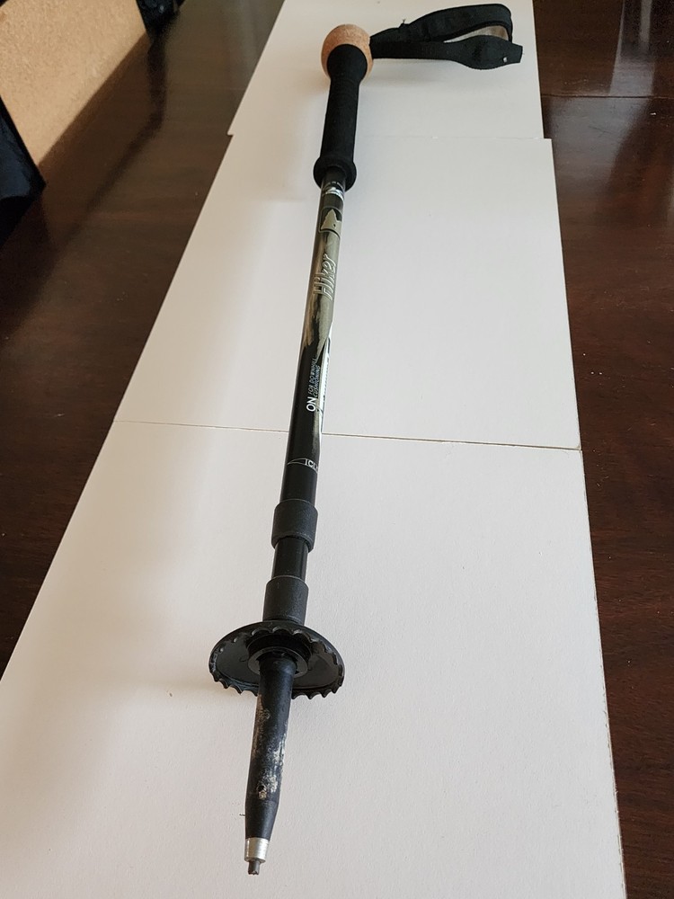 REI Walking Stick