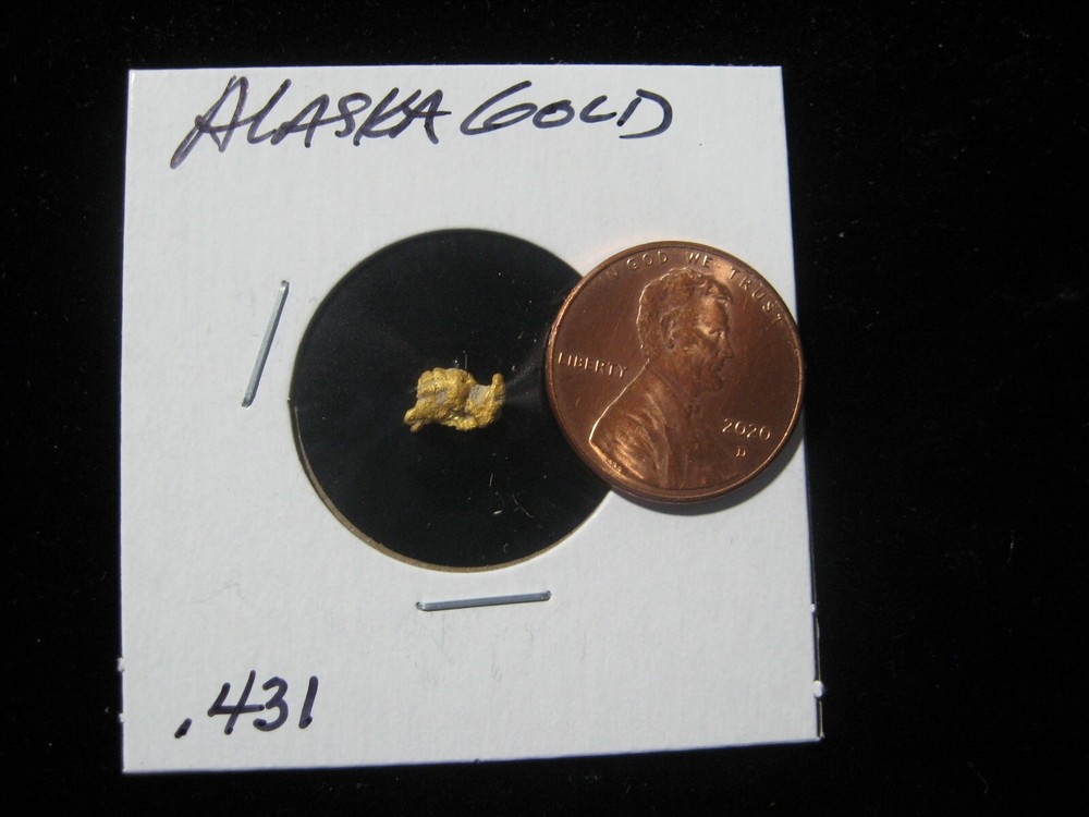 ALASKA GOLD NUGGET .431 GRAM