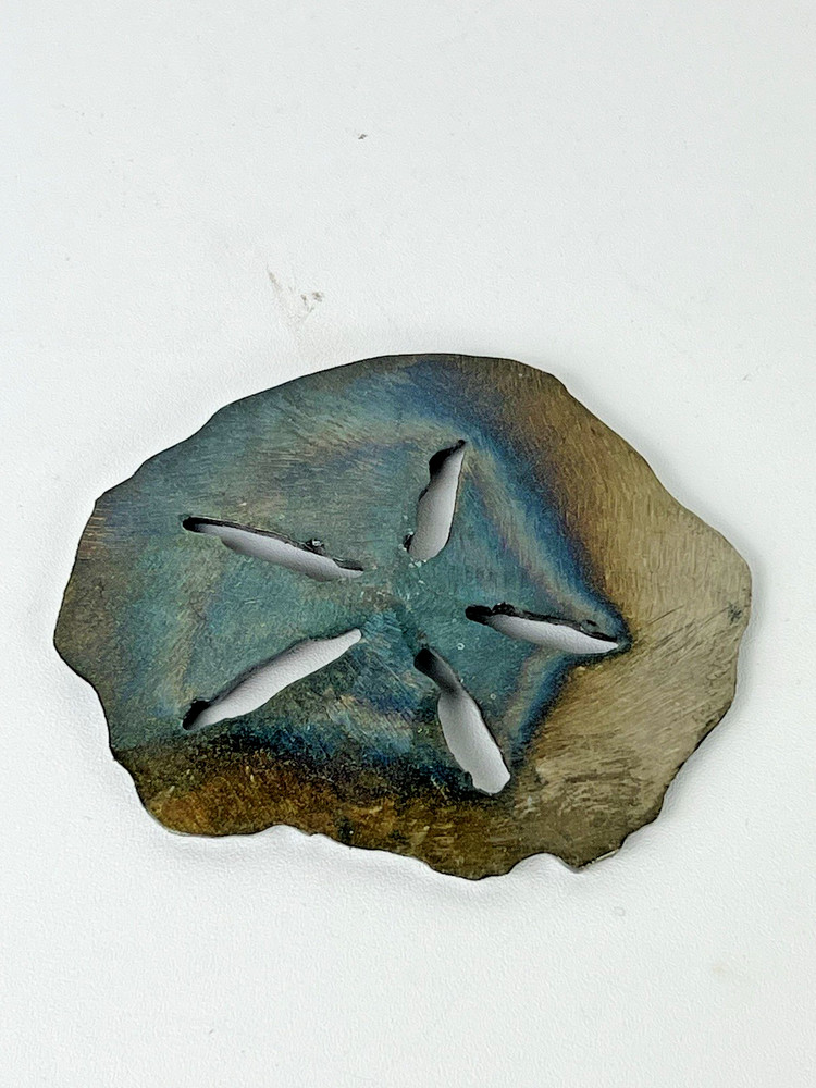 3 Metal Laser Cut Sand Dollars
