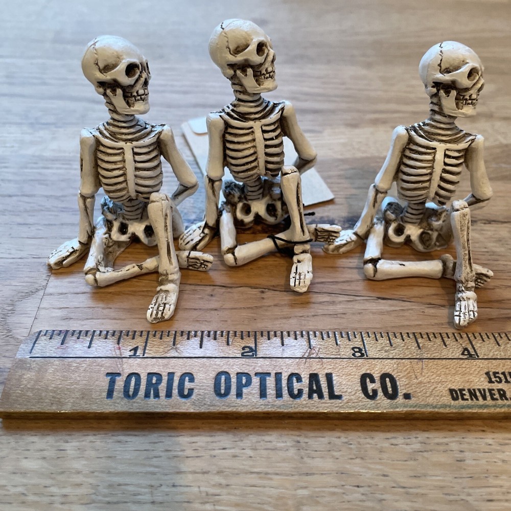 3 seated skeletons Yoga Pose NWT
