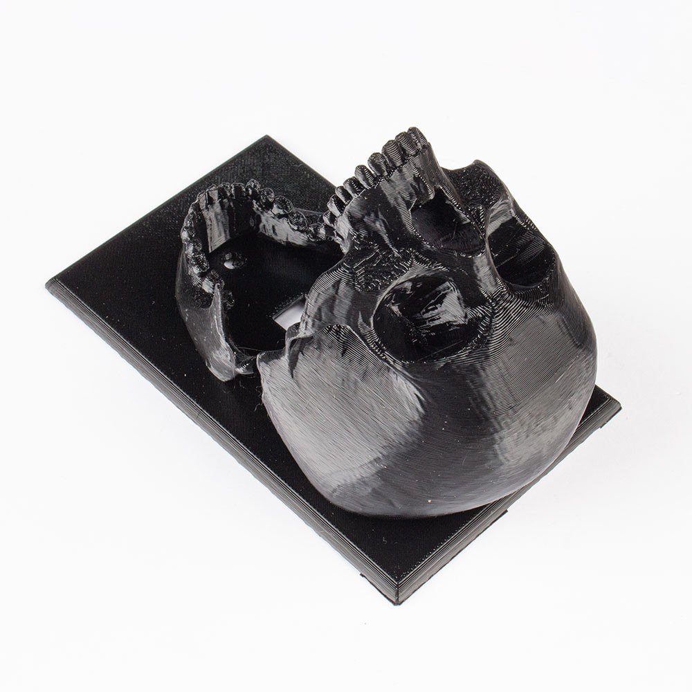 Skull Light switch plate NTL