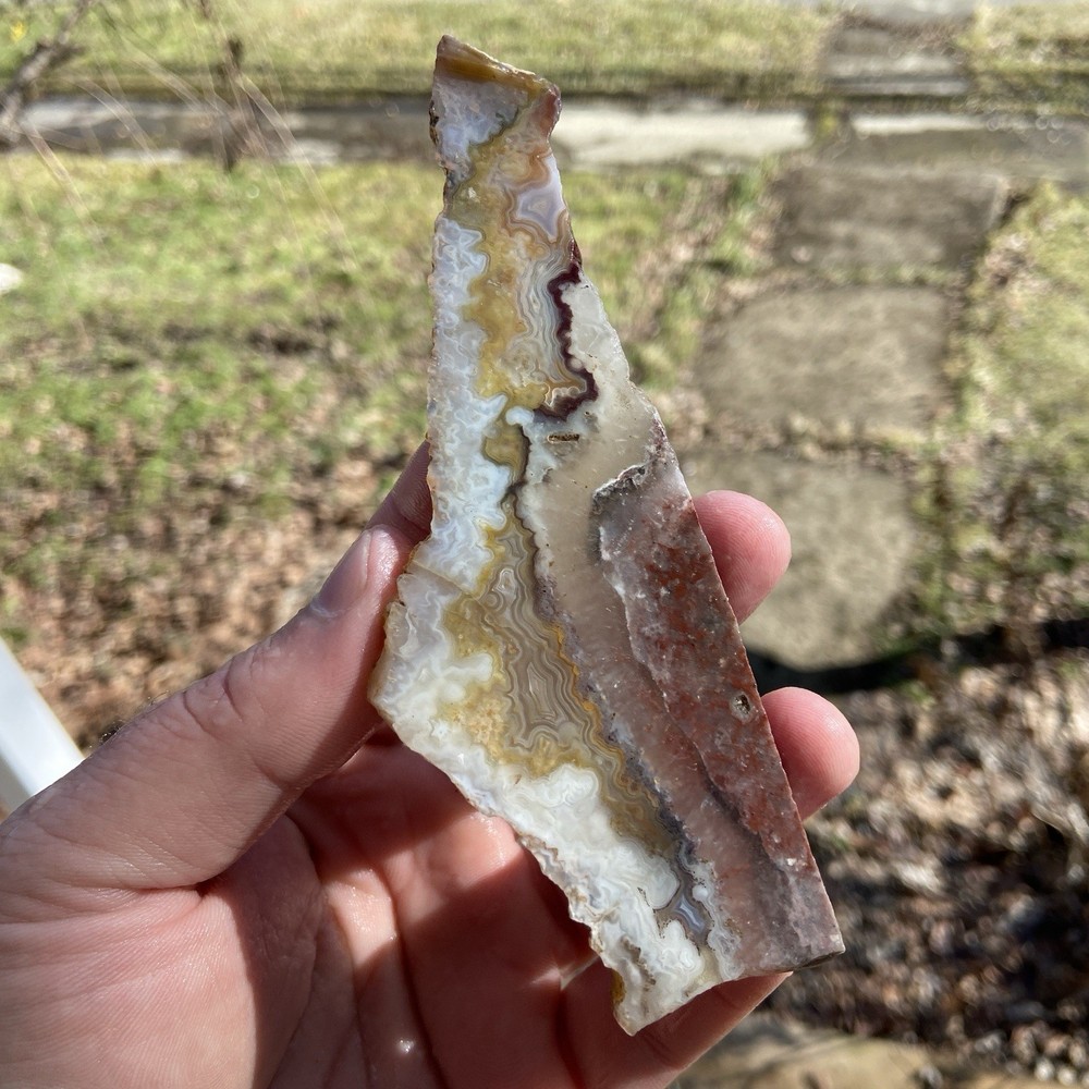 Transparent Crazy Lace Agate Slab 2.31 Oz
