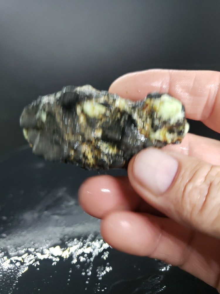 Nevada Gecko Variscite Rough