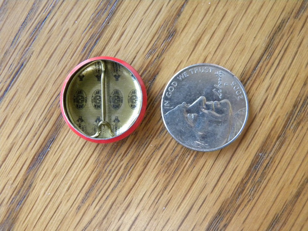 American Red Cross - Beginner Swimmer Pin