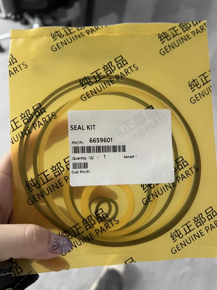 6659601 Hydrostatic Motor Seal Kit fits Bobcat