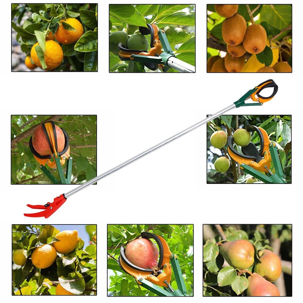 Fruit Picker Multifunctional with Three Claws Lightweight Sturdy Long Handle