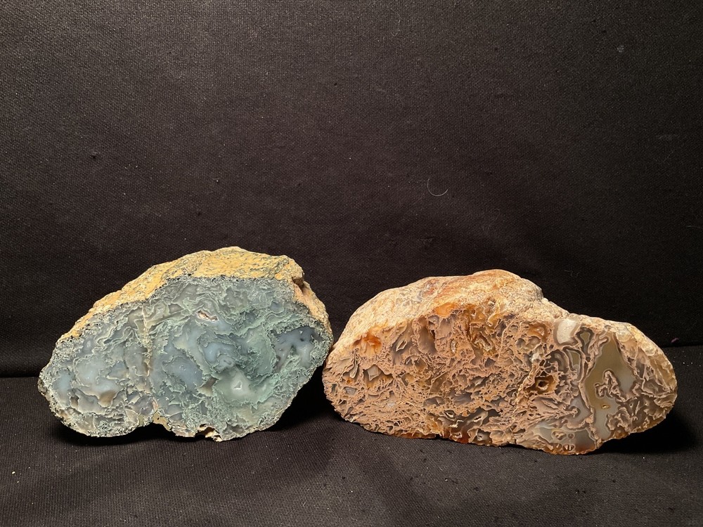 ~RW~ "OREGON MOSS AGATE" ~~ ONE POLISHED~~BEAUTIFUL CUTTING MATERIAL
