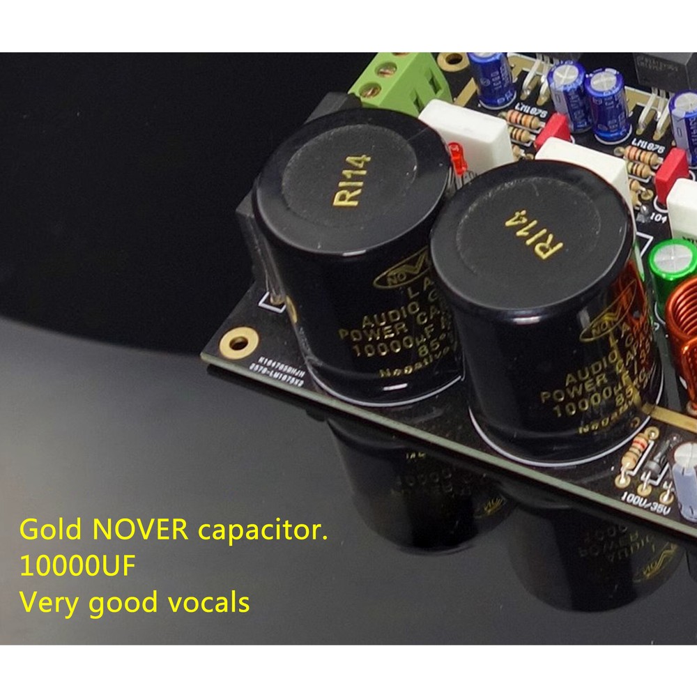 GC Version LM1875 2 Core Parallel Amplifier Board Double-Sided Gold-Sunk Board