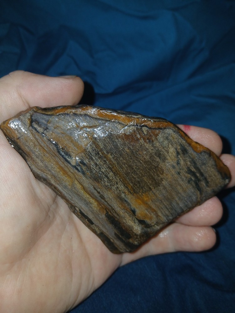 6.7 oz Agatized Petrified Wood