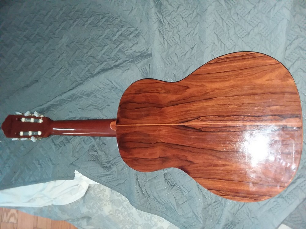 DiGiorgio signorina guitar