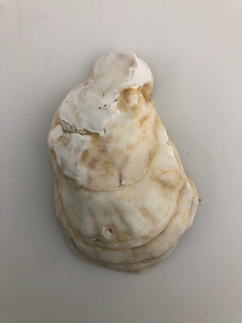 Hand Crafted Periwinkle and Blue Paint Pour Oyster Shell