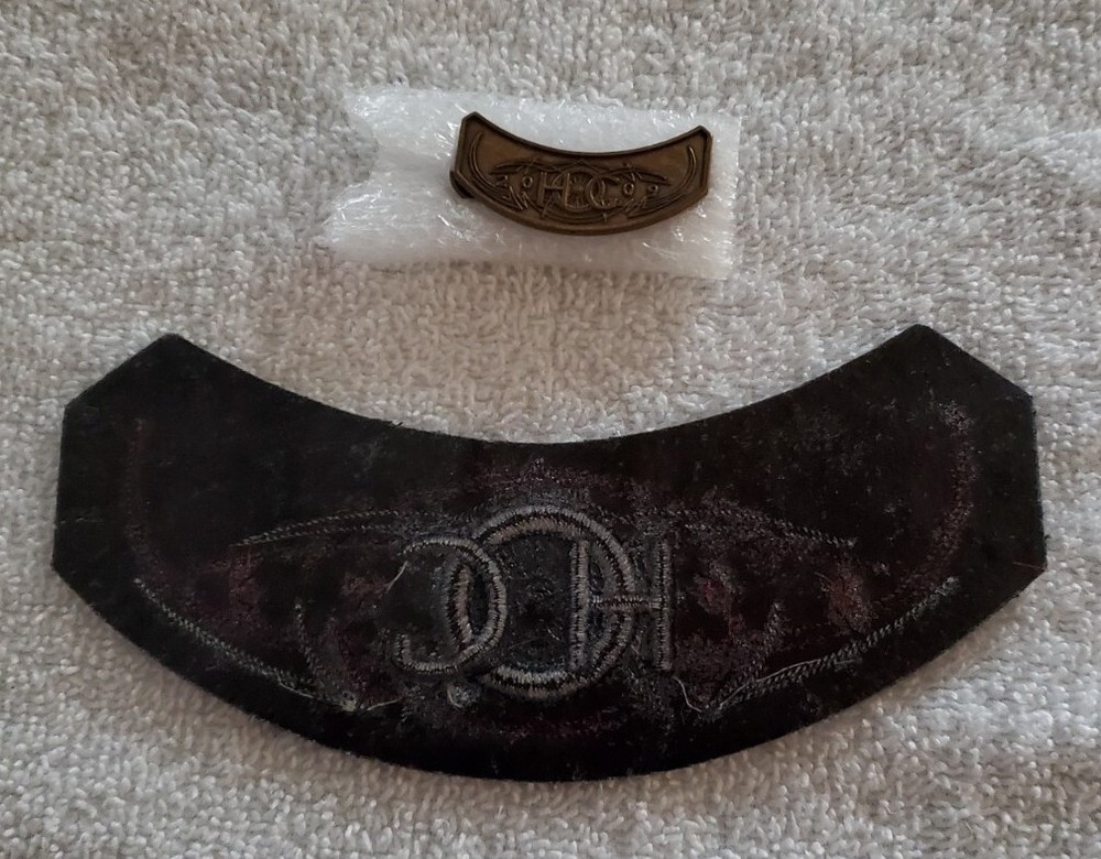 HOG Harley Davidson Owners Group - 2009 Pin