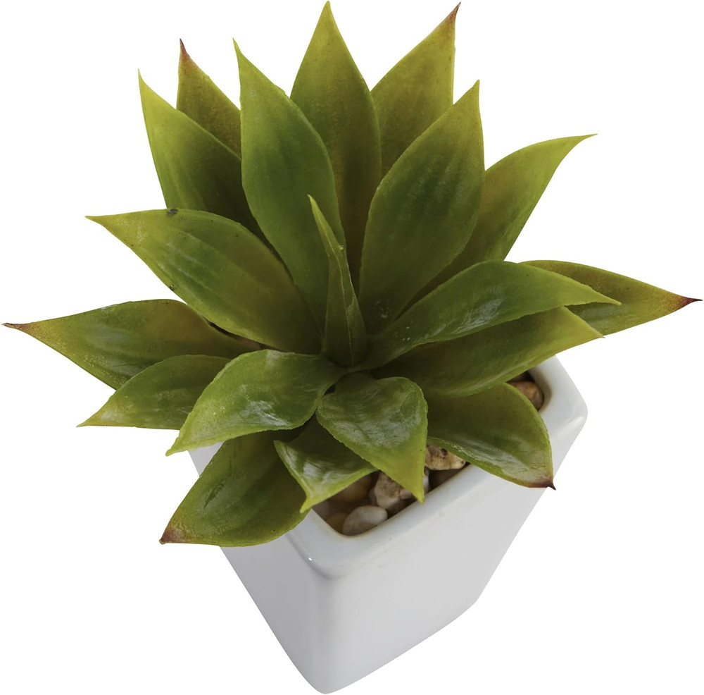 Mini Agave with Planter (Set of 3) White