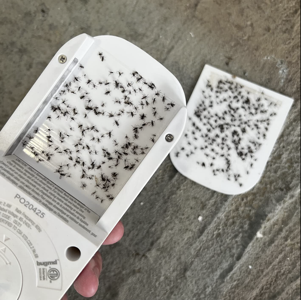 BugMD No Fly Zone Refillable UV Bug Zapper, Mosquito Zapper, Flying Insect Trap