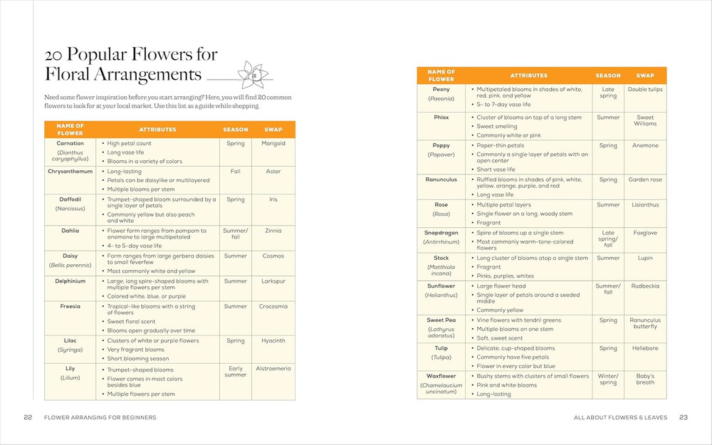 Flower Arranging for Beginners