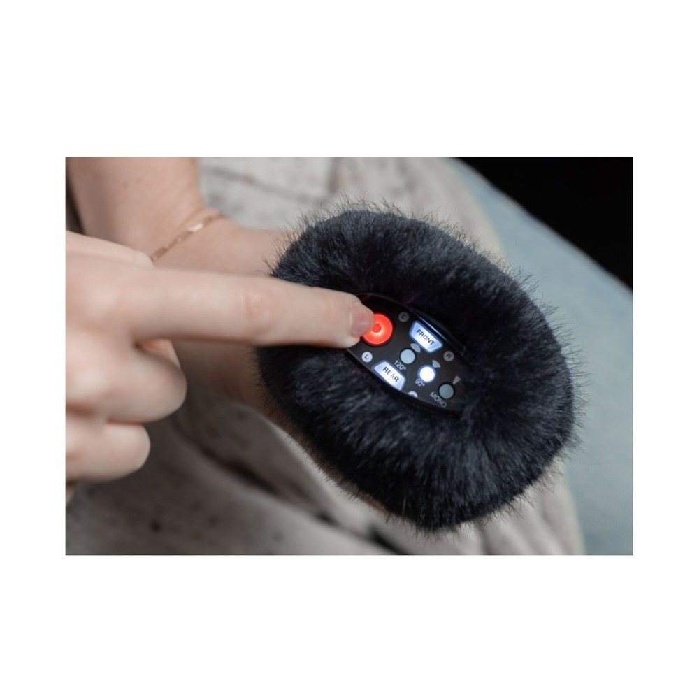 Zoom H2essential Multi-Mic Handy Recorder and Hairy Windscreen Bundle