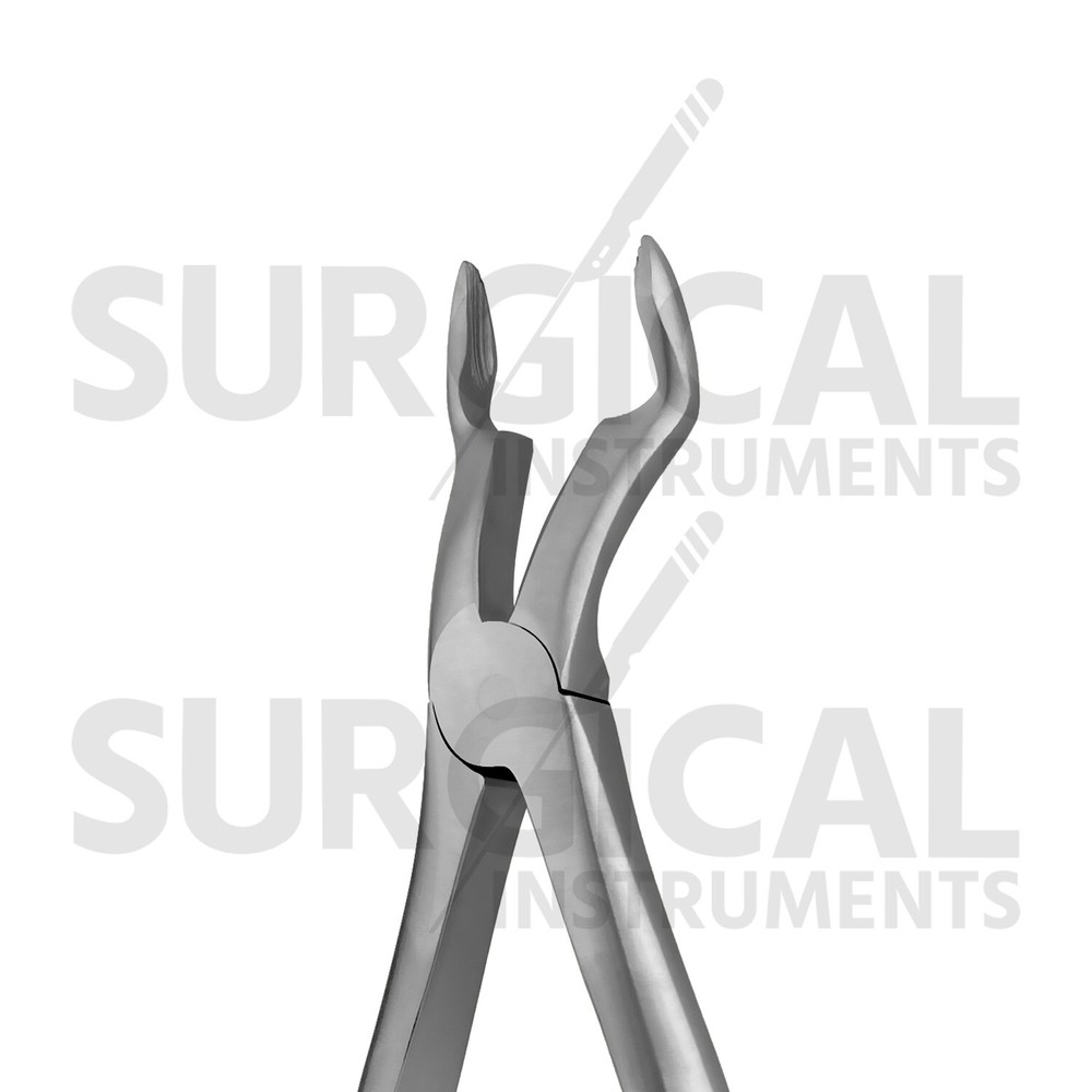 Heavy Duty Stainless Extraction Forceps #67A - Gold Hollow Python Grip German Gr