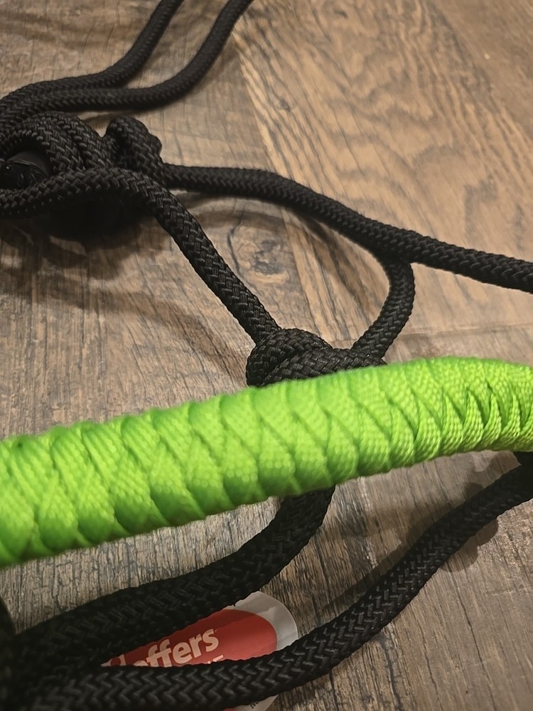 horse halter and lead rope